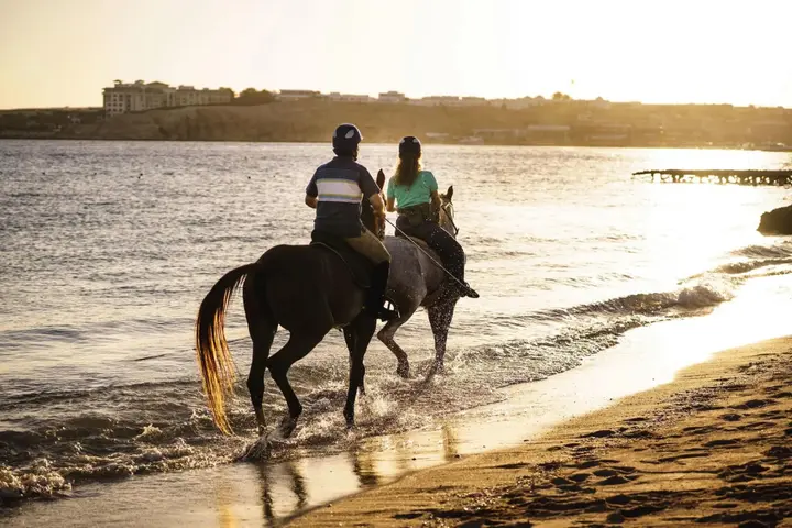 Шарм-эш-Шейх (Шарм-эль-Шейх): Mövenpick Resort Sharm El Sheik Naama Bay