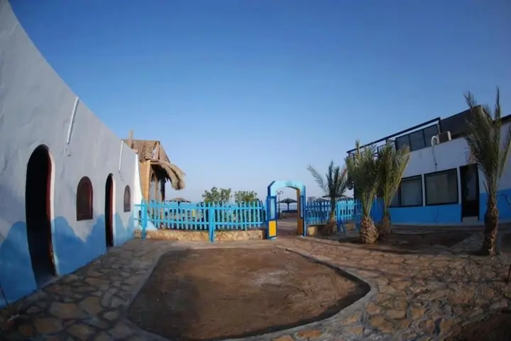 Дахаб: Dolphin Camp