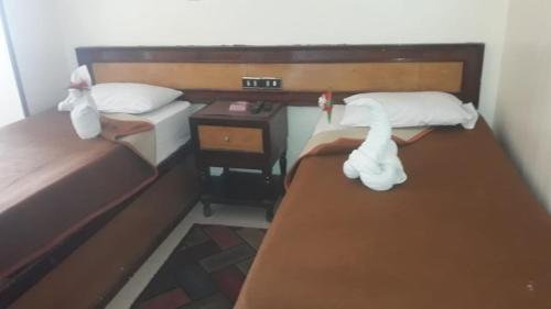 Асуан: Oscar Hotel