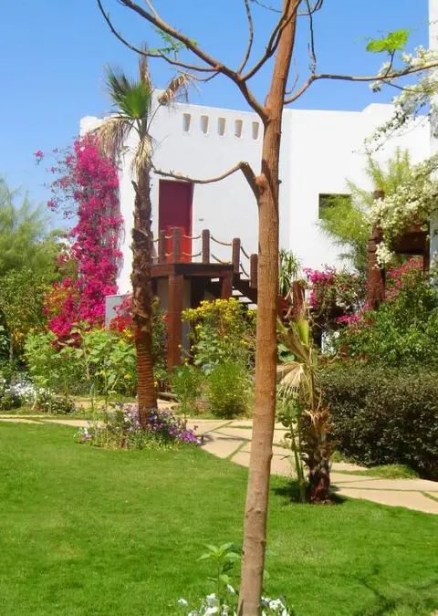 Шарм-эш-Шейх (Шарм-эль-Шейх): DELTA SHARM RESORT ,Official Web, DELTA RENT, Sharm El Sheikh, South Sinai, Egypt