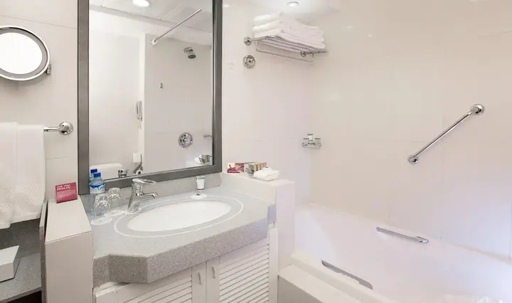 Дубай: Millennium Plaza Downtown Hotel