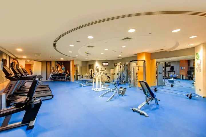 Дубай: Copthorne Hotel Dubai