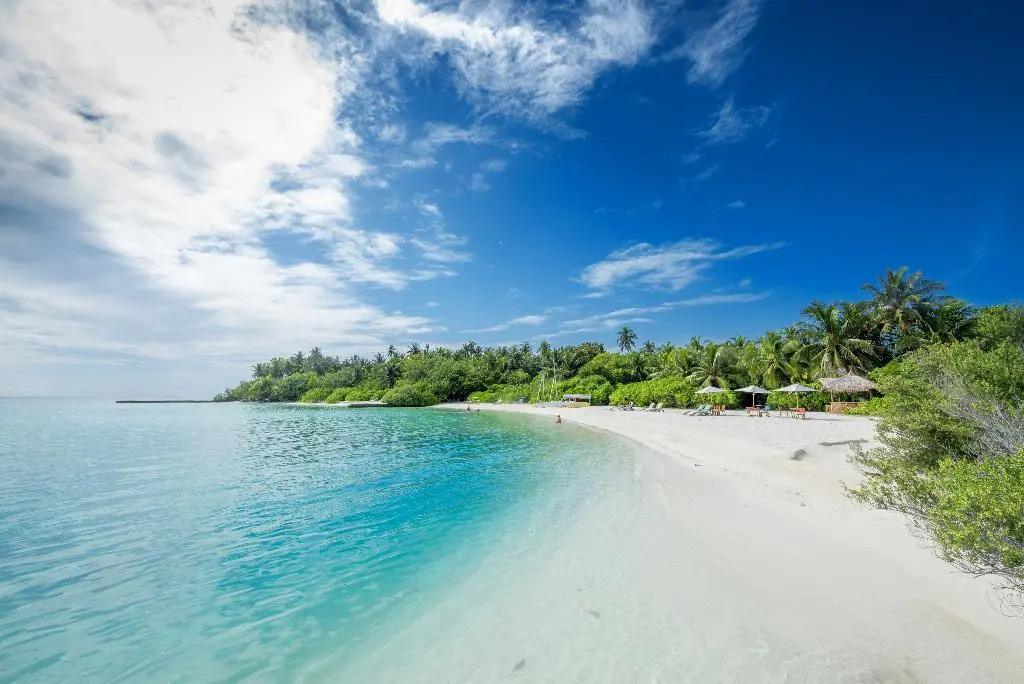 Северный атолл Мале: Makunudu Island