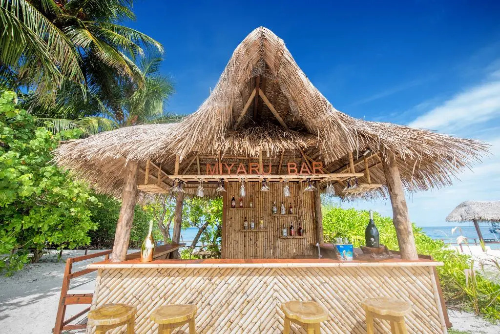 Северный атолл Мале: Makunudu Island