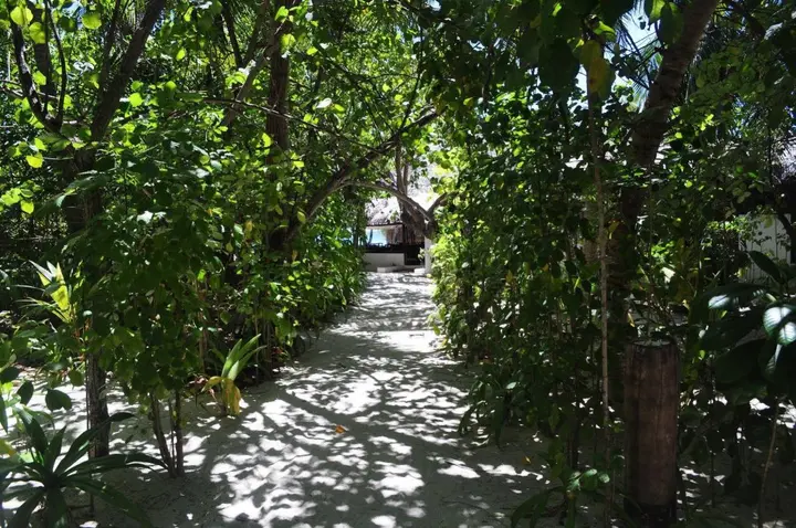 Северный атолл Мале: Makunudu Island