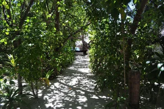 Северный атолл Мале: Makunudu Island