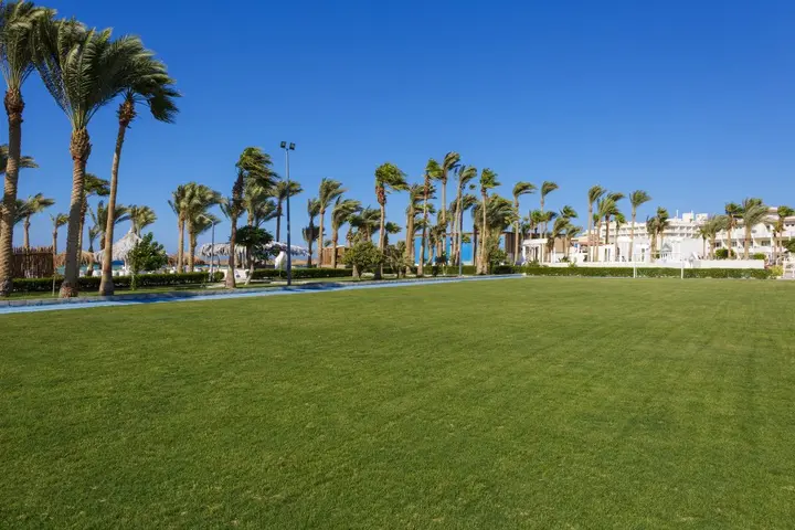 Хургада: Meraki Resort Adults Only