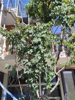 Тбилиси: Tbilisi Hostel