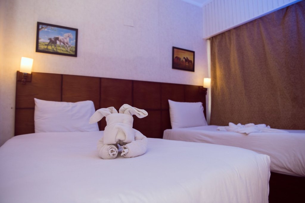 Гиза: Отель Salma Hotel
