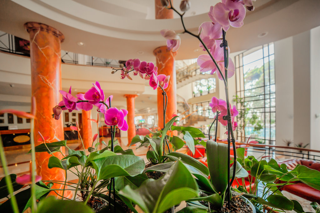 Кобулети: Отель Georgia Palace Hotel & SPA