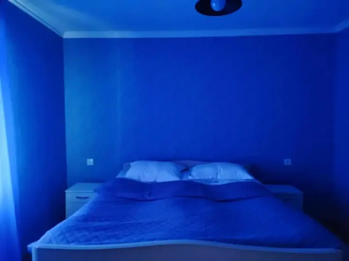 Степанцминда: Lia&Ramaz Guest House