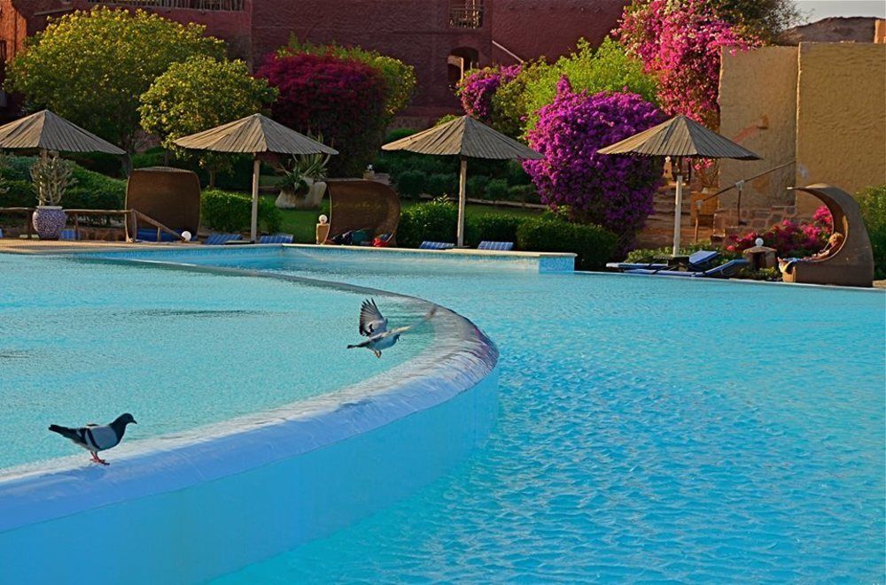 Марса Алам: Kahramana Beach Resort