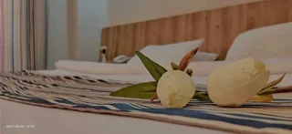 Эль-Аламейн: Siesta Hotel