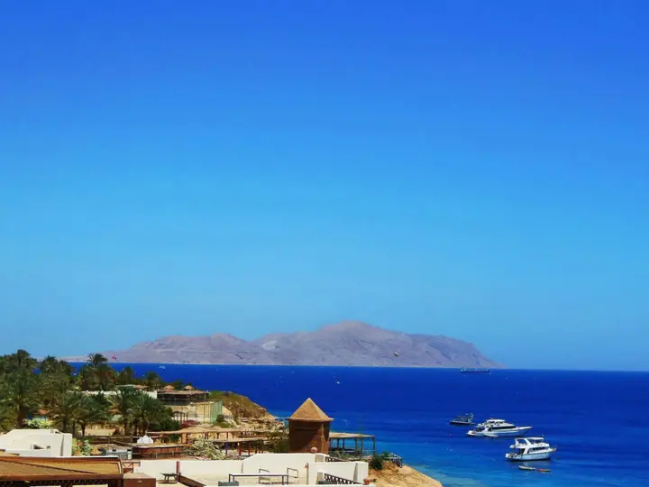 Шарм-эш-Шейх (Шарм-эль-Шейх): Sharks Bay Oasis