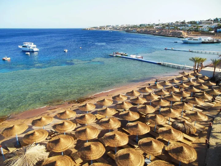Шарм-эш-Шейх (Шарм-эль-Шейх): Sharks Bay Oasis