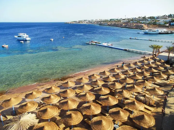 Шарм-эш-Шейх (Шарм-эль-Шейх): Sharks Bay Oasis