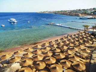 Шарм-эш-Шейх (Шарм-эль-Шейх): Sharks Bay Oasis