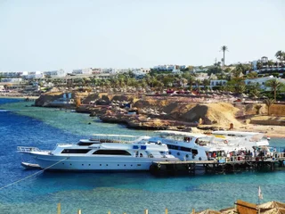 Шарм-эш-Шейх (Шарм-эль-Шейх): Sharks Bay Oasis