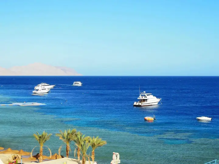 Шарм-эш-Шейх (Шарм-эль-Шейх): Sharks Bay Oasis