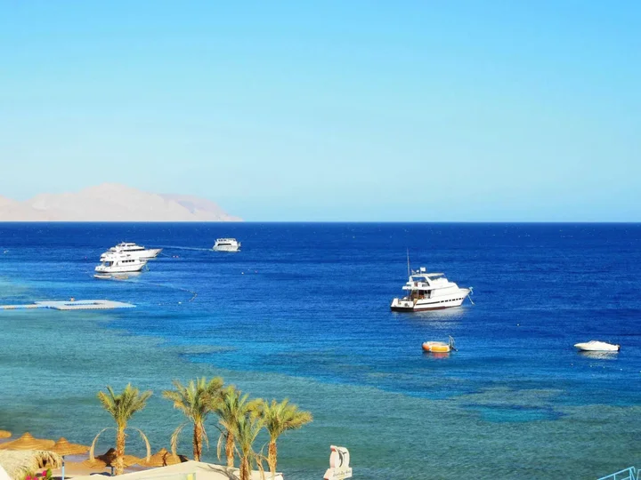Шарм-эш-Шейх (Шарм-эль-Шейх): Sharks Bay Oasis
