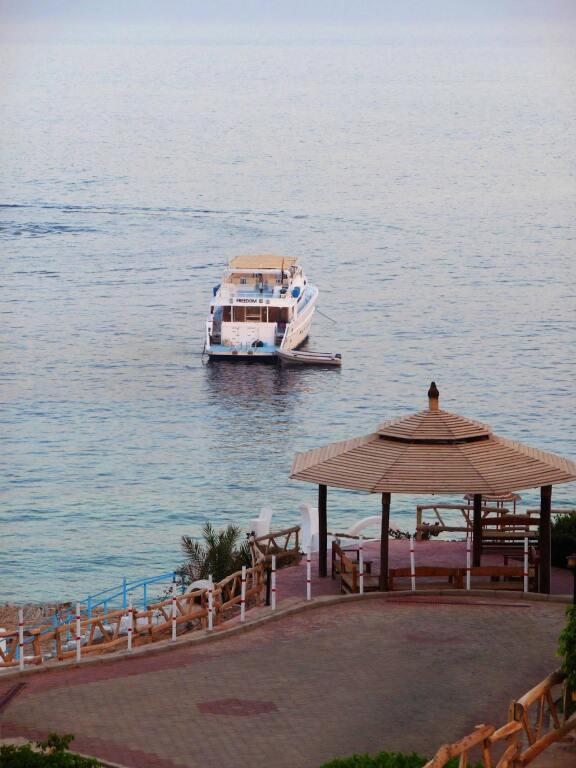 Шарм-эш-Шейх (Шарм-эль-Шейх): Sharks Bay Oasis