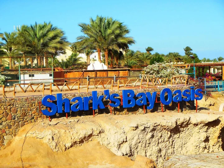 Шарм-эш-Шейх (Шарм-эль-Шейх): Sharks Bay Oasis