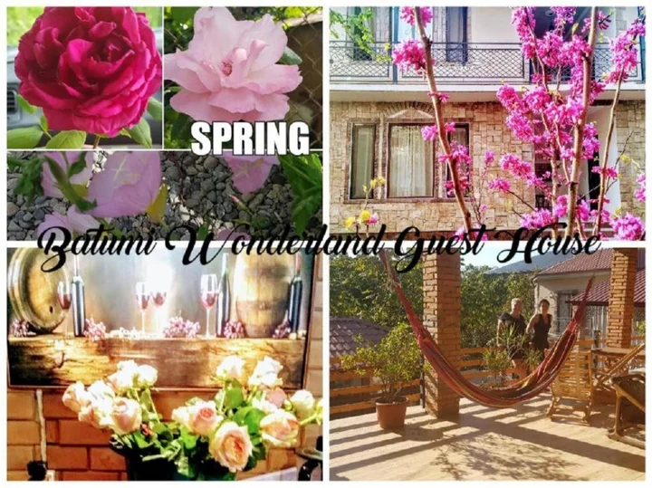 Батуми: Batumi Wonderland Guest House