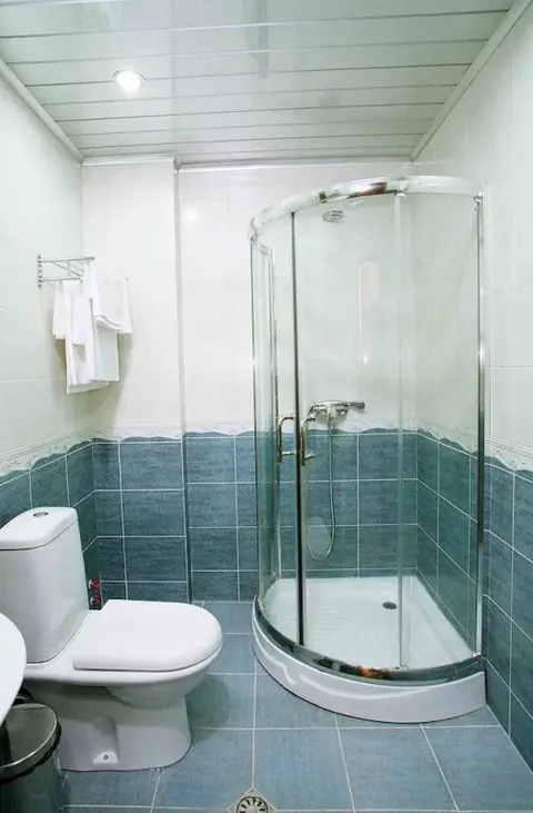 Бакуриани: Victoria Hotel & Spa