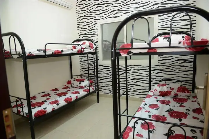 Аджман: Camel Campus