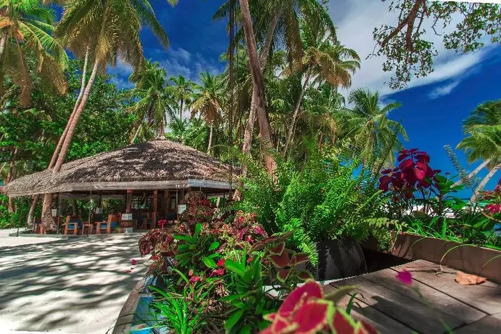 Атолл Дхаалу: Yash Nature Resort