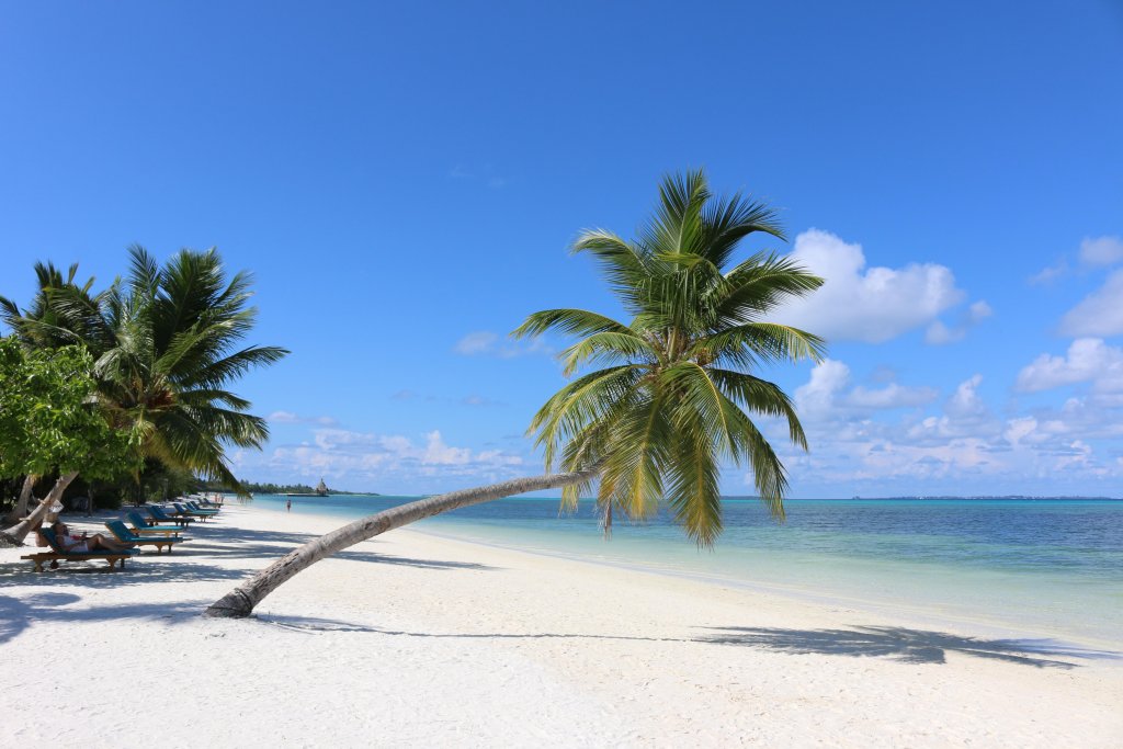 Атолл Адду: Canareef Resort Maldives