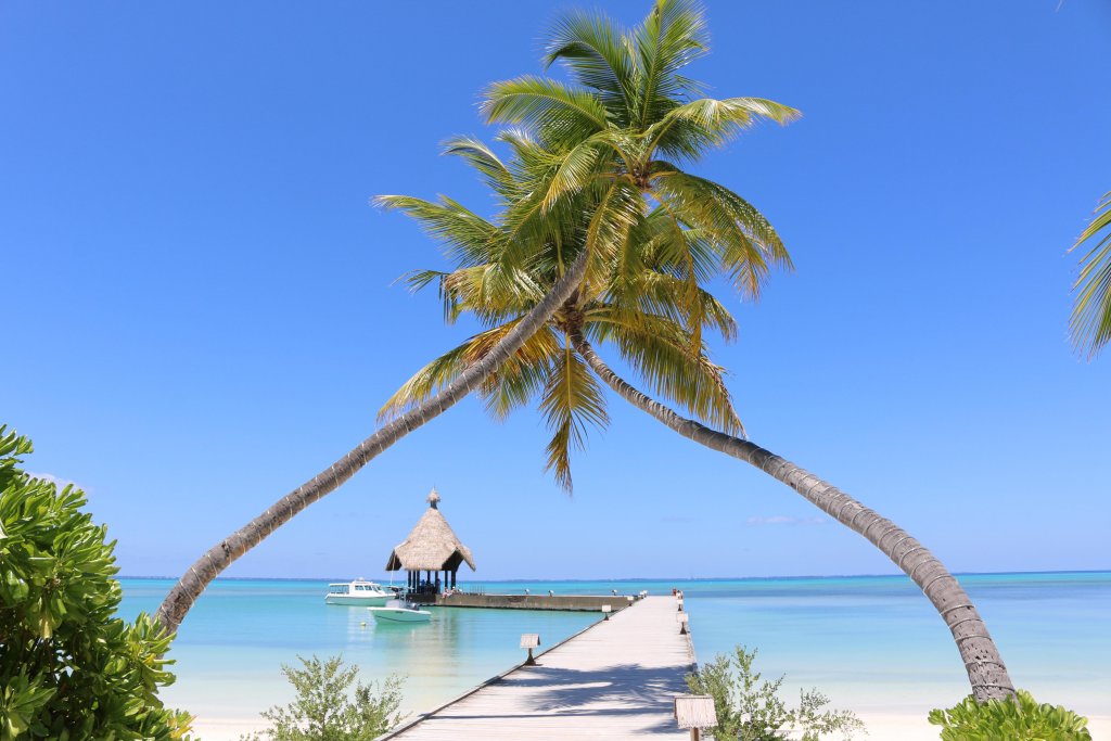 Атолл Адду: Canareef Resort Maldives
