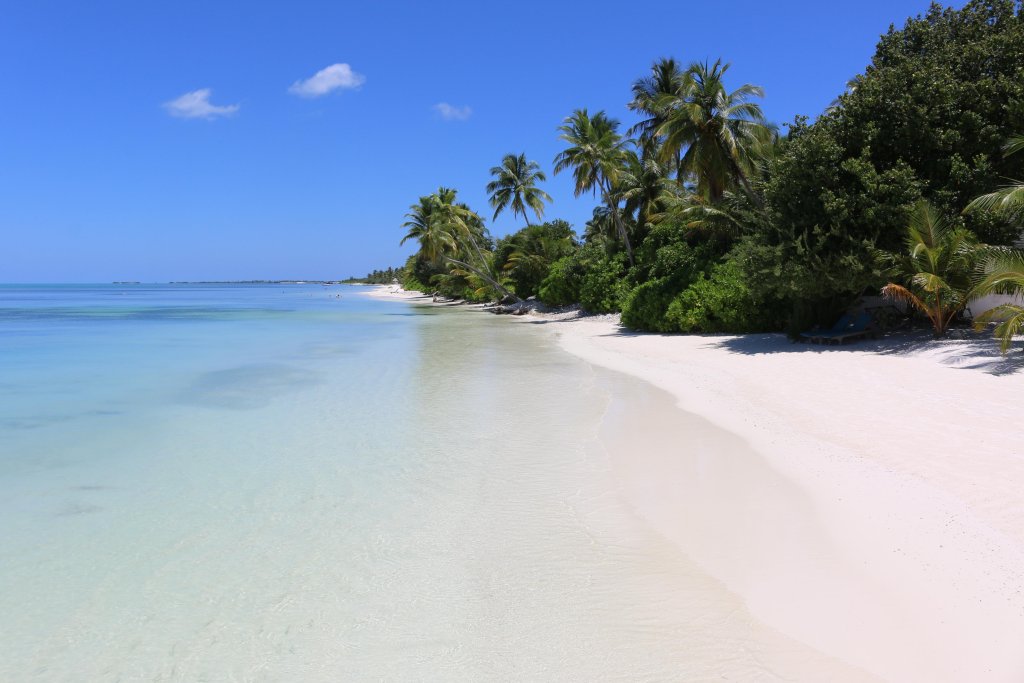Атолл Адду: Canareef Resort Maldives