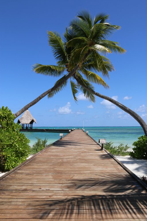 Атолл Адду: Canareef Resort Maldives