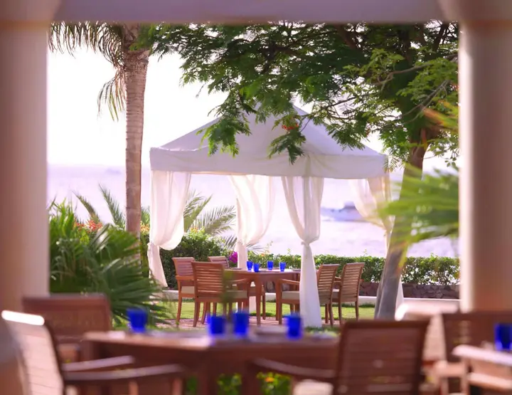 Шарм-эш-Шейх (Шарм-эль-Шейх): Royal Monte Carlo Sharm El Sheikh - Adults only