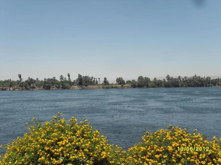 Луксор: Villa Diletta Luxor