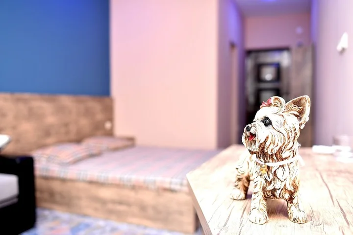 Батуми: Hotel Costa