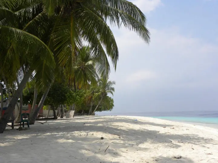 Атолл Баа: Madi Finolhu Guesthouse