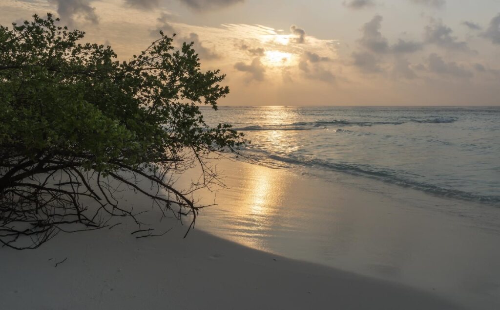 Атолл Алиф-Алиф: Crystalline Residence at Rasdhoo Island