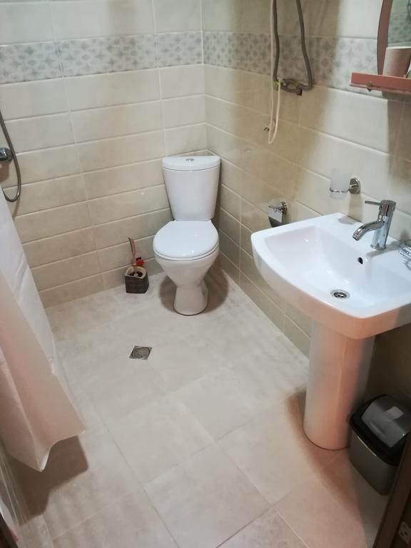 Местиа: Ekas guest house