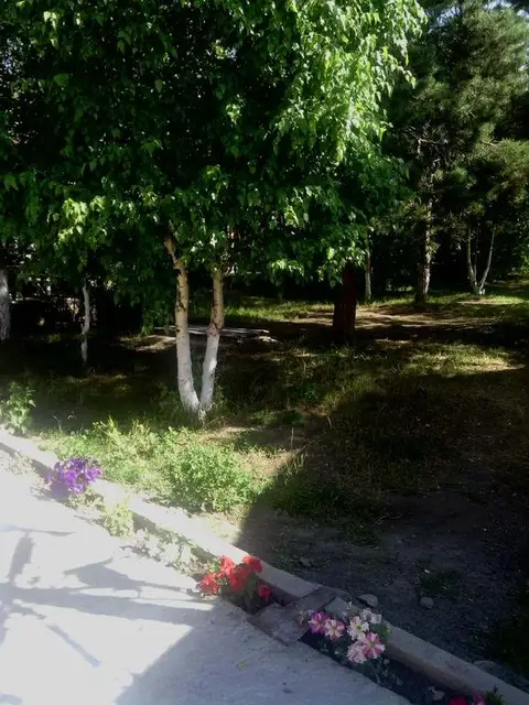База Отдыха Nirvana — фото 1