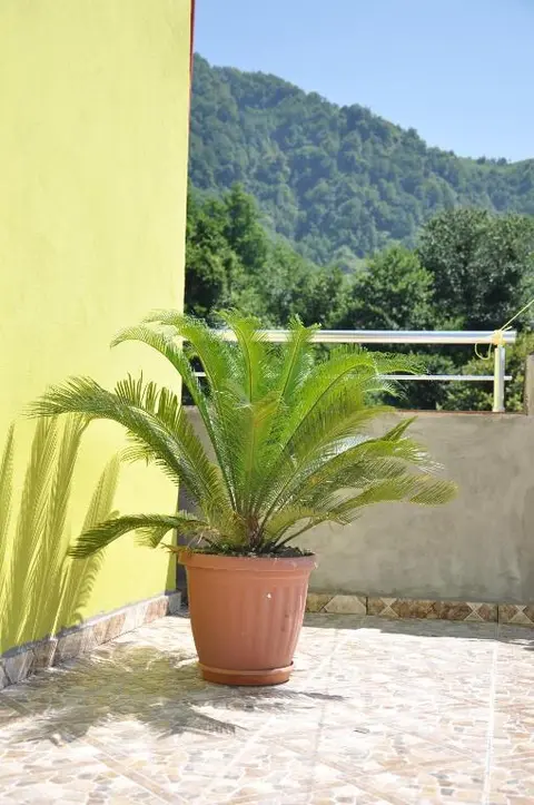Батуми: Akhmed Guest House