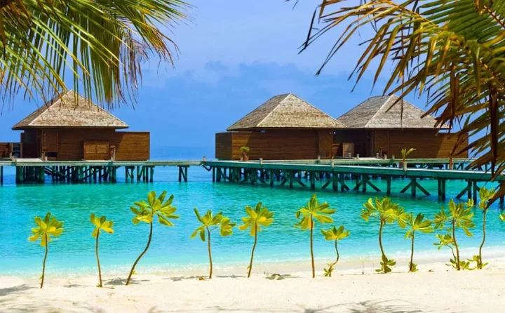 Атолл Алиф-Алиф: Rasreef Rasdhoo Maldives
