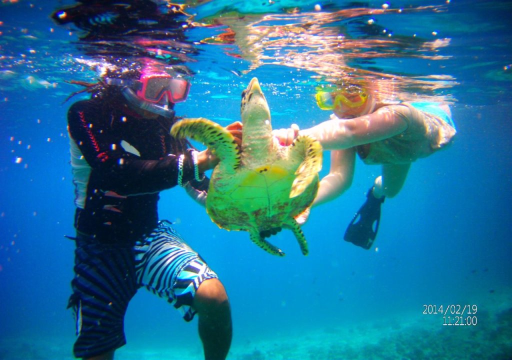 Атолл Алиф-Алиф: Rasreef Rasdhoo Maldives