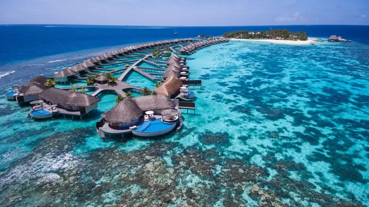Остров Фесду: W Maldives