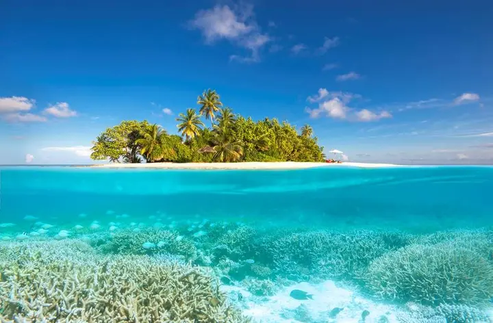 Остров Фесду: W Maldives