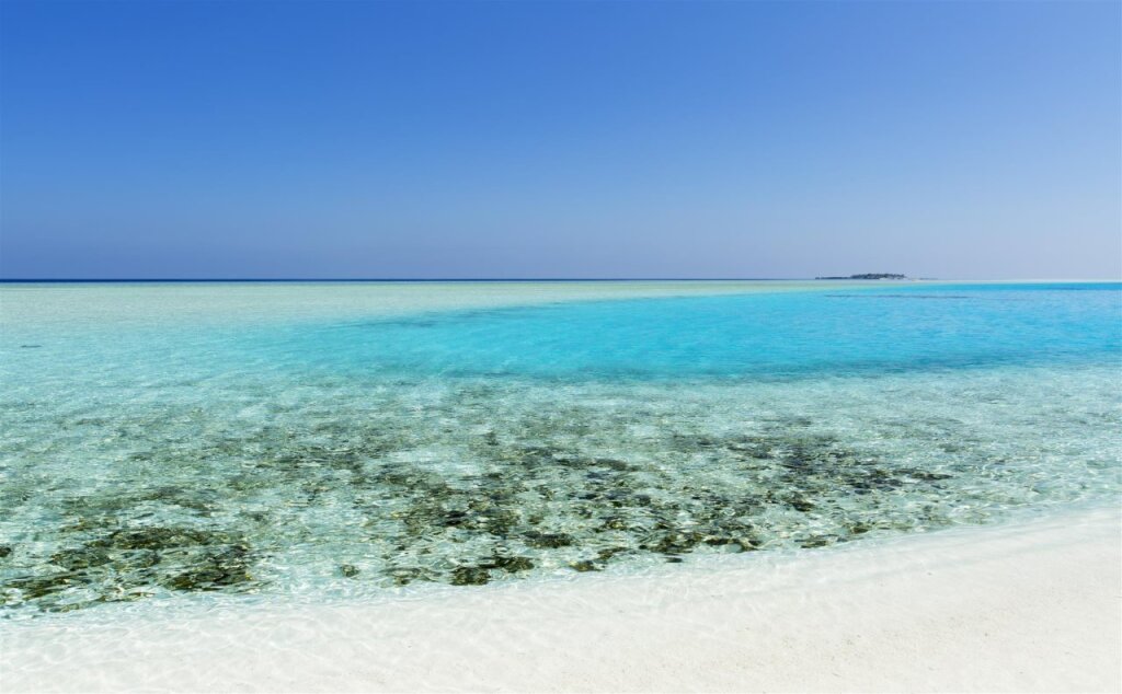 Атолл Алиф-Алиф: Ras Beach Inn