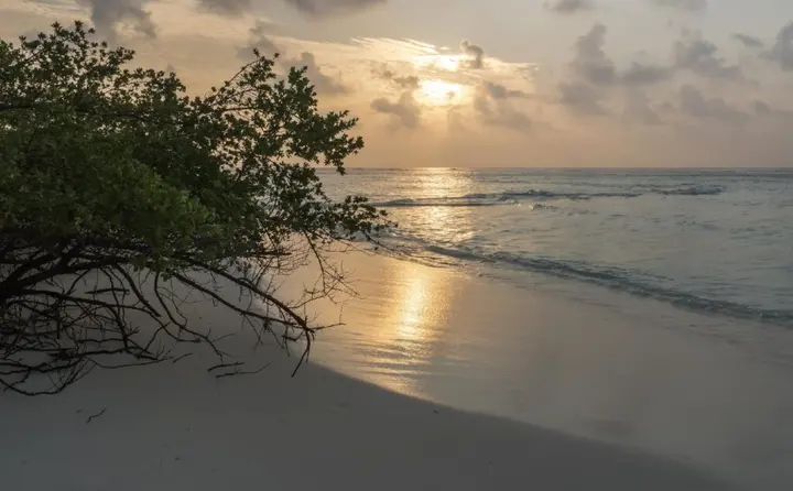 Атолл Алиф-Алиф: Rasdhoo View Inn