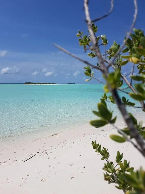 Атолл Алиф-Алиф: Rasdhoo View Inn