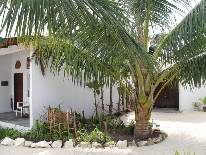Бодуфолуду: Lagoon View Maldives